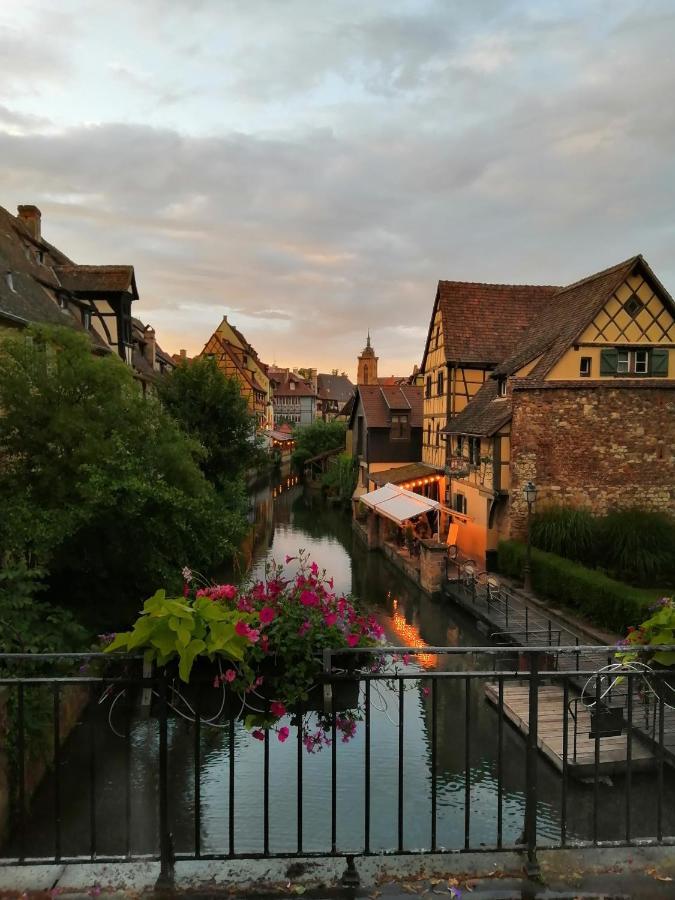 Petite Venise Apartment Colmar Bagian luar foto