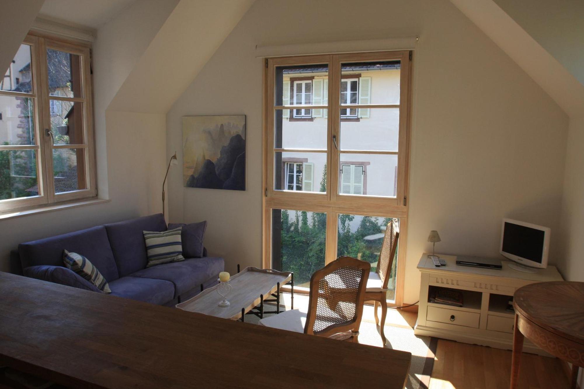Petite Venise Apartment Colmar Bagian luar foto
