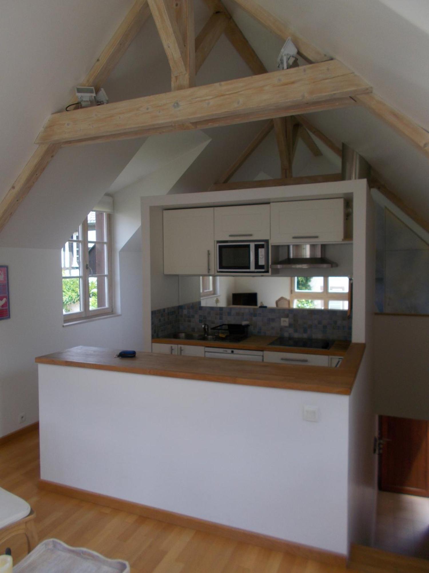 Petite Venise Apartment Colmar Bagian luar foto