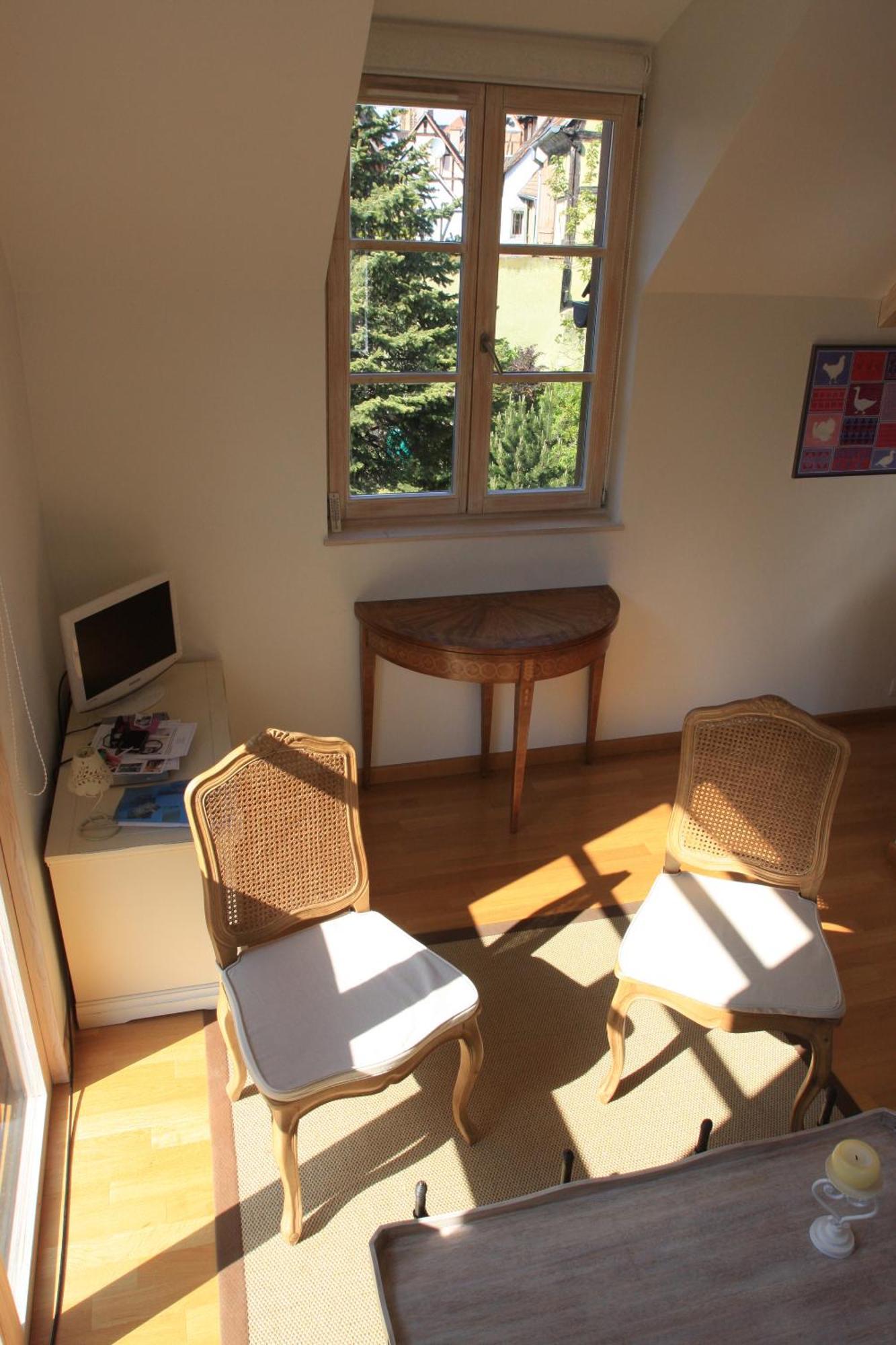 Petite Venise Apartment Colmar Bagian luar foto