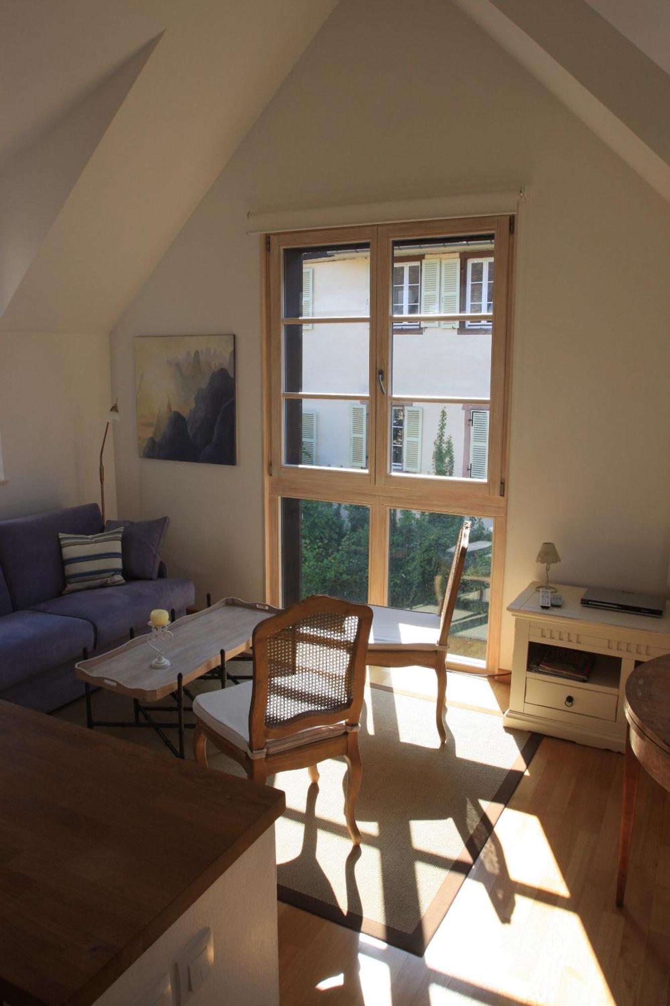 Petite Venise Apartment Colmar Bagian luar foto