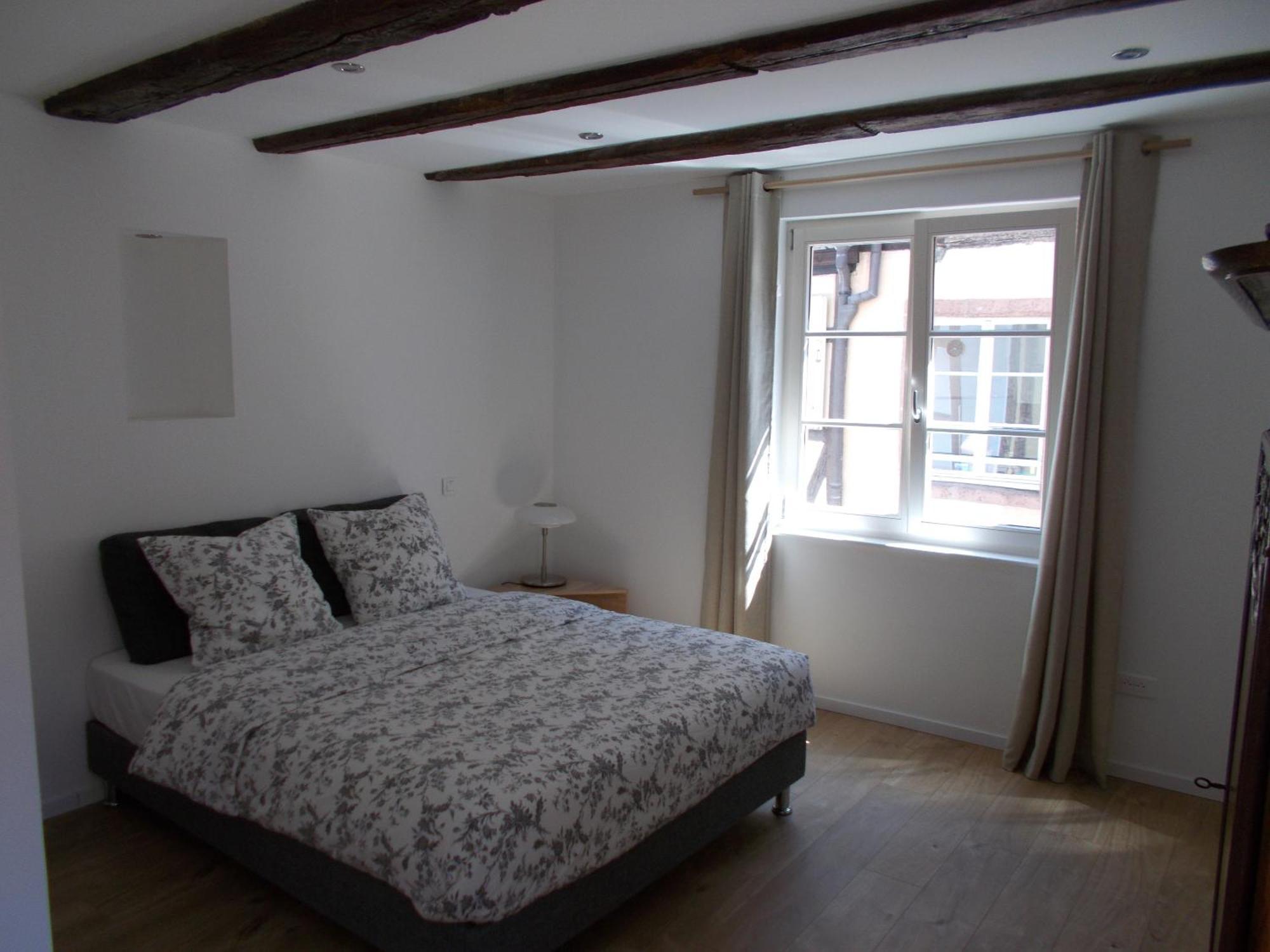 Petite Venise Apartment Colmar Bagian luar foto