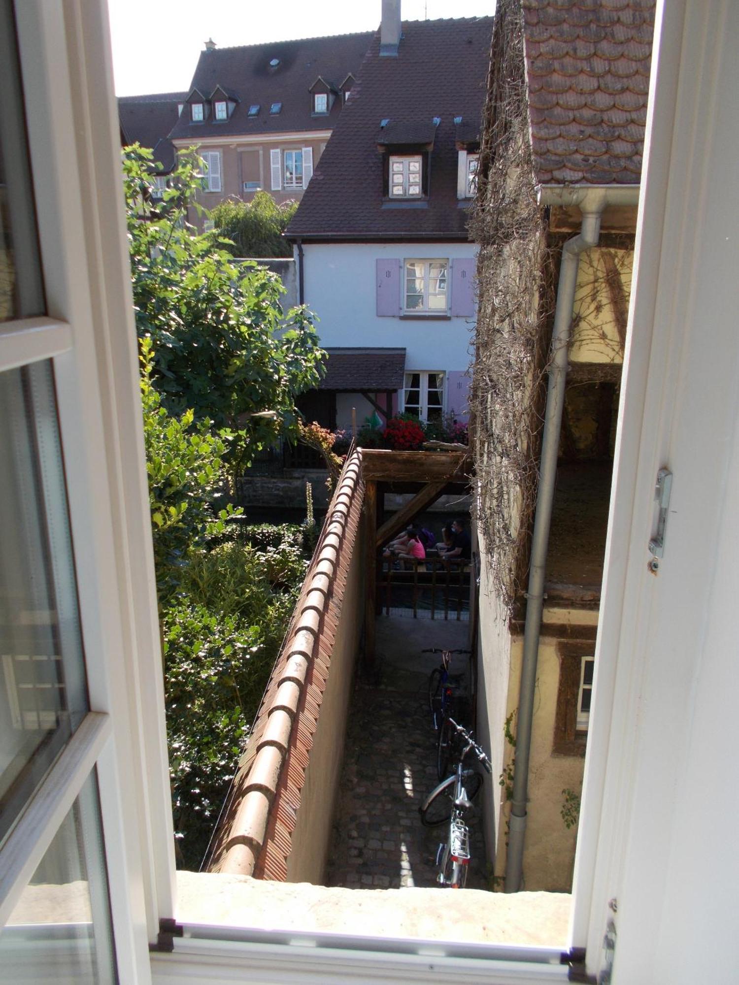 Petite Venise Apartment Colmar Bagian luar foto