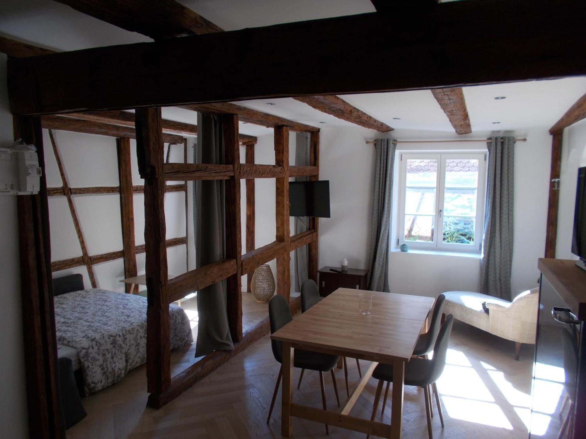 Petite Venise Apartment Colmar Bagian luar foto